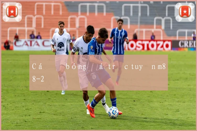 Cá độ bóng đá trực tuyến m88