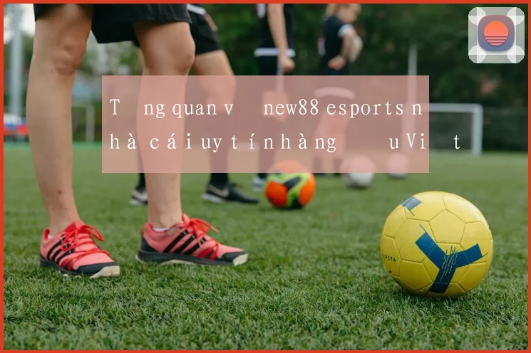 Tổng quan về new88 esports nhà cái uy tín hàng đầu Việt Nam