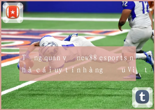 Tổng quan về new88 esports nhà cái uy tín hàng đầu Việt Nam