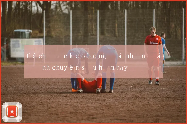 Cách đọc kèo bóng đá nhận định chuyên sâu hôm nay